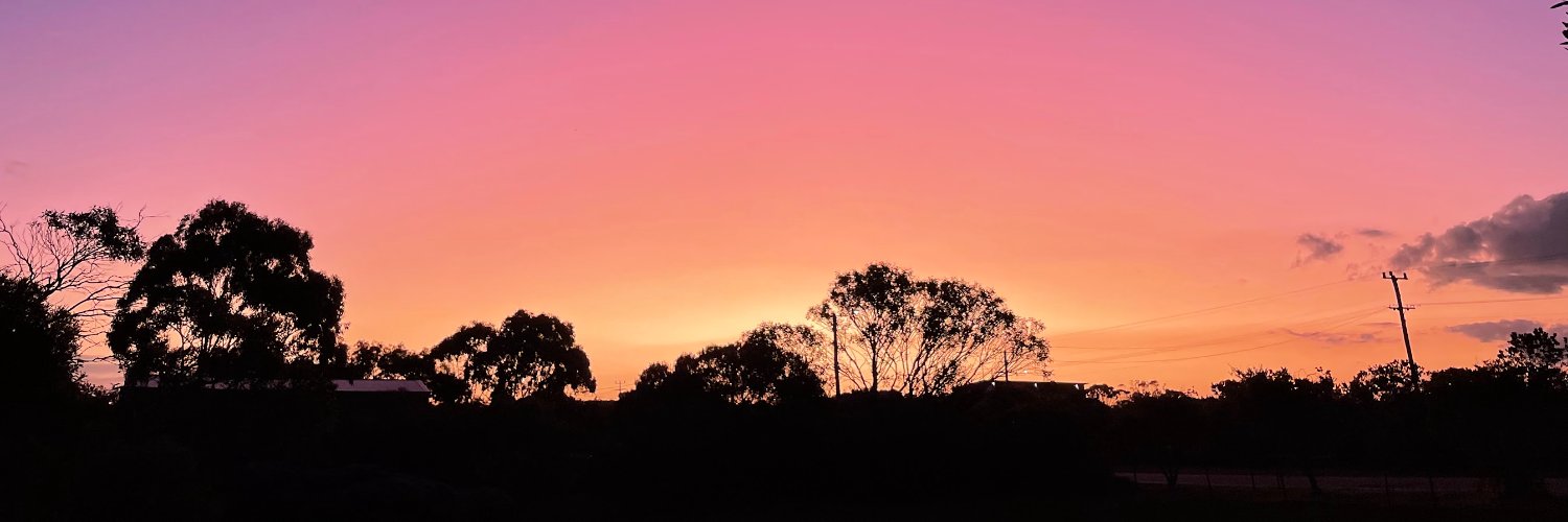Beau's banner