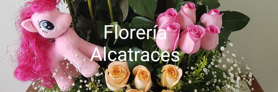 FloreriaMeridaY's profile banner image