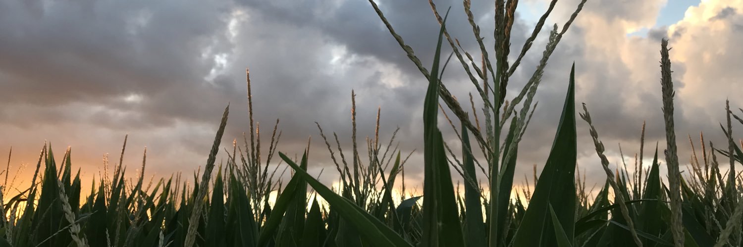 RSoderlin's profile banner image