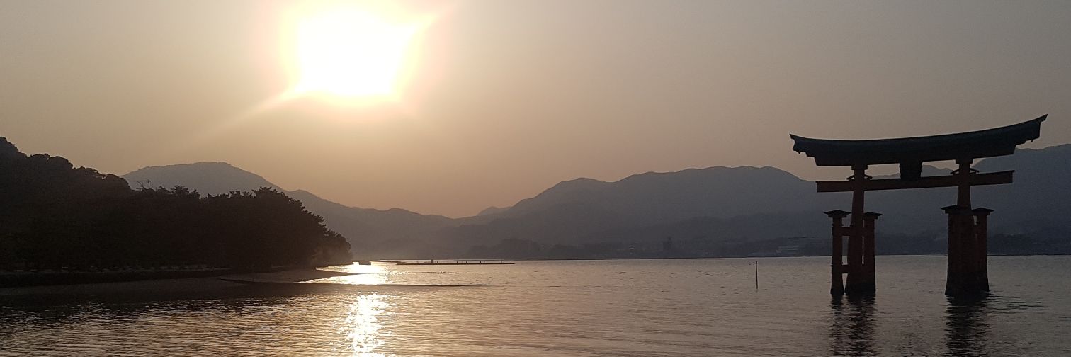 fmelu's profile banner image