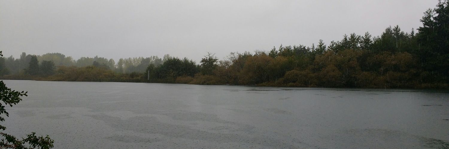 FeRd🕷️🦂 banner