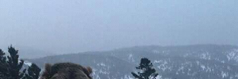 ClaudeYannick2's profile banner image