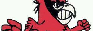 JVcardsbaseball's profile banner image