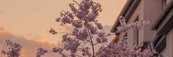 BKathellyn's profile banner image