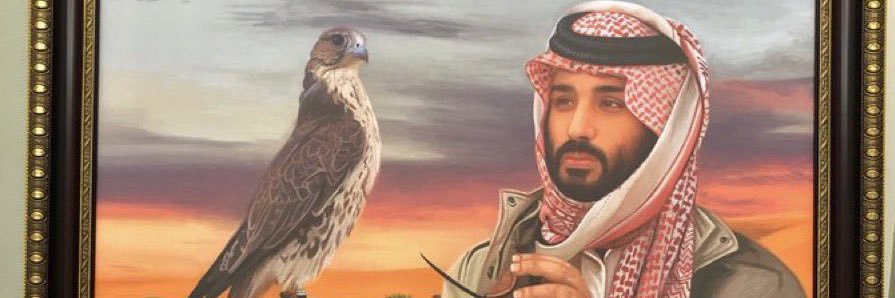 v2Meshal's profile banner image