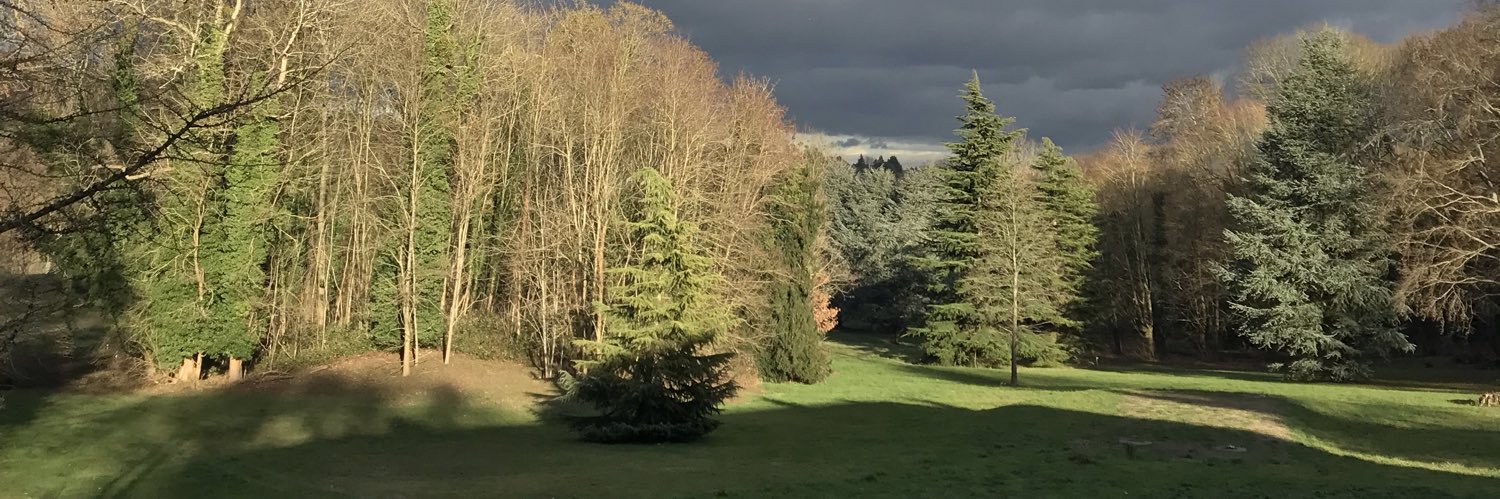 Deborah Berlinck banner