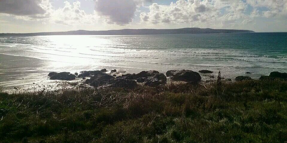 Hannah Williams banner