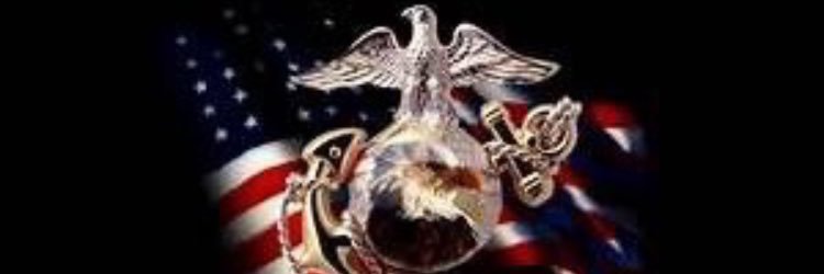 Steve Schultz 🇺🇸 banner