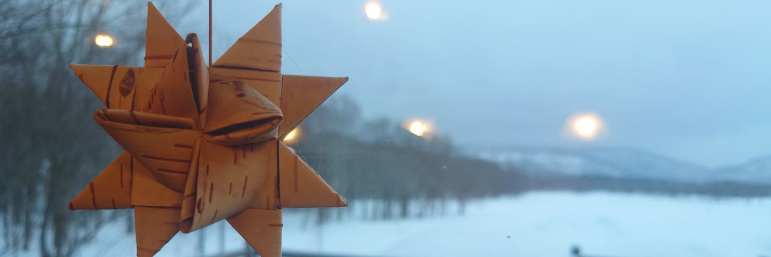 nuts_kin_turn's profile banner image
