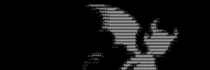 stopdoingdrugz's profile banner image