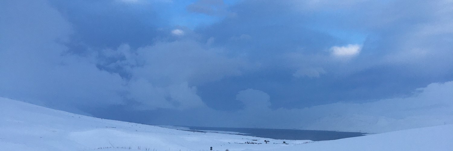 lesiutek's profile banner image