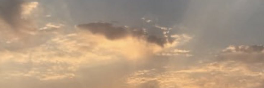 تركي رضا المخيدش banner