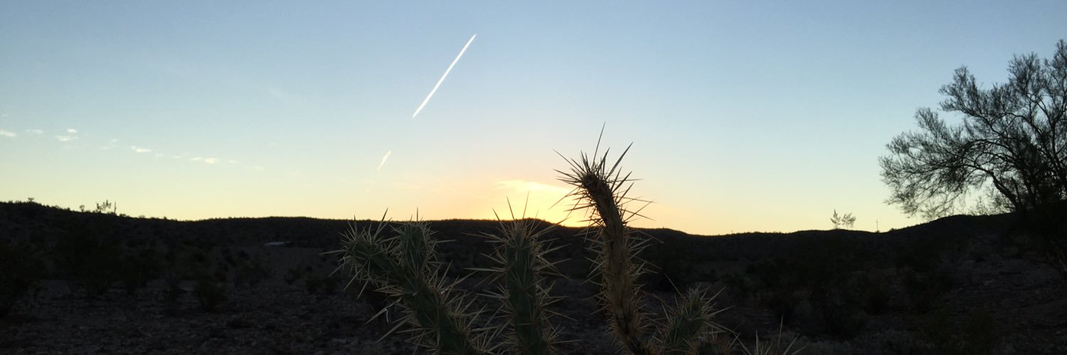DymaxionMe's profile banner image