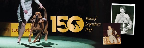 WKCDOGS Profile Banner
