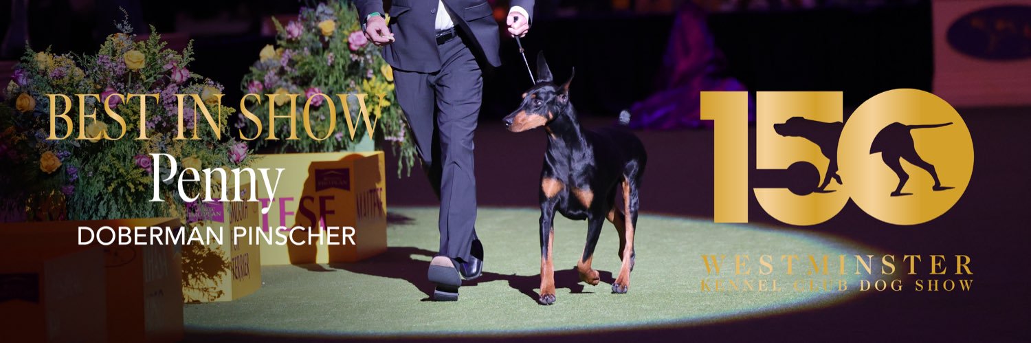 Westminster Kennel Club banner