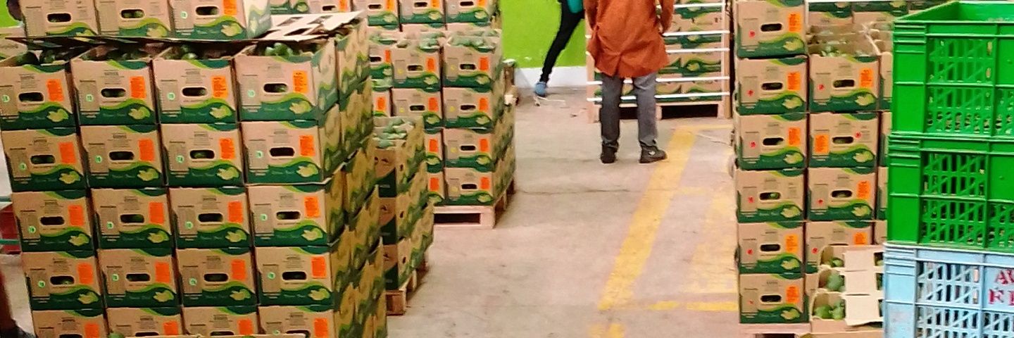 The Bee keeper banner