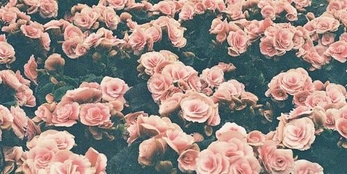 val_reyess's profile banner image