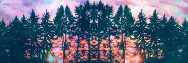 notfromcali's profile banner image