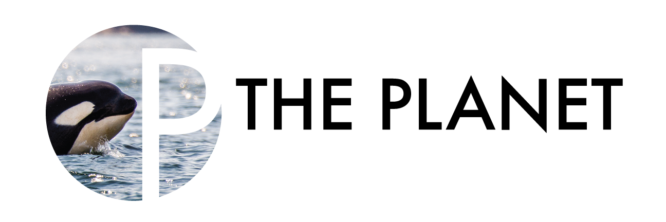The Planet Magazine banner