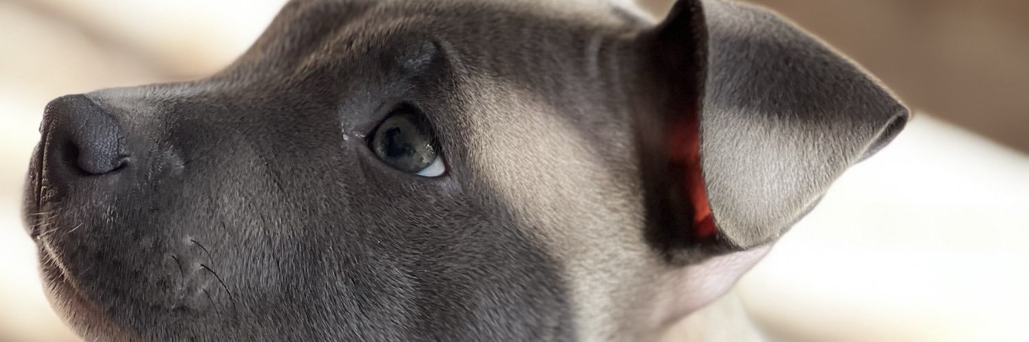 LuuCoria1's profile banner image