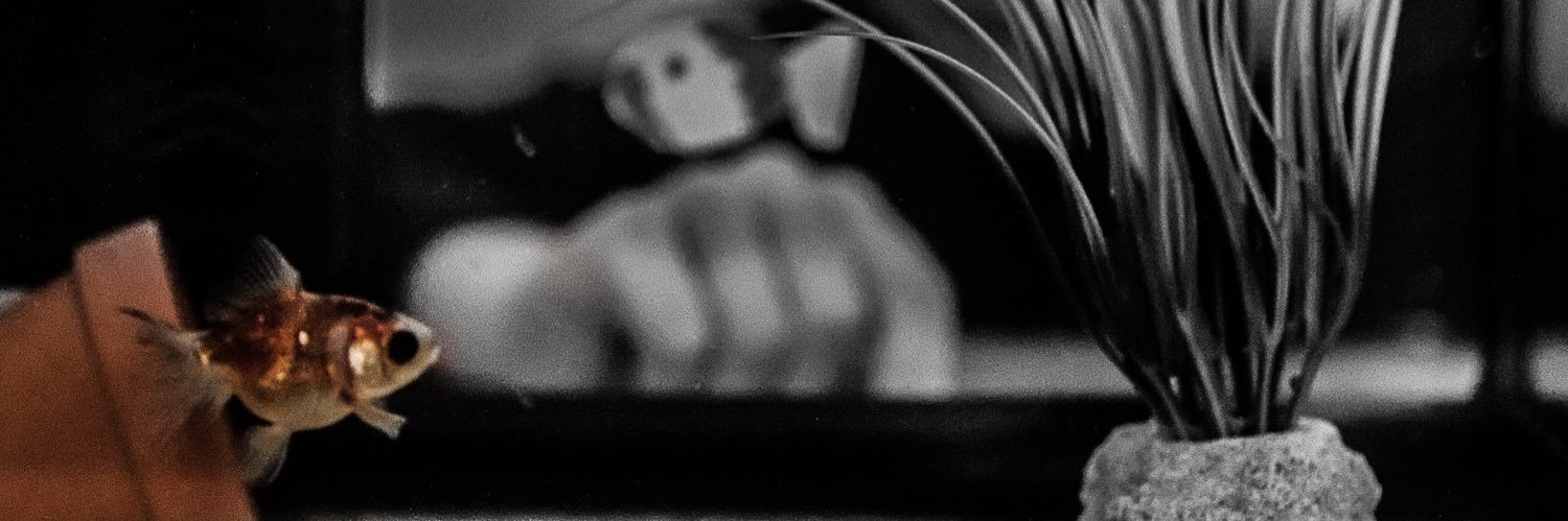 nICOCOLA🎨🔊 banner