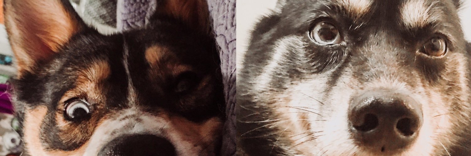 ashweeeyy_'s profile banner image