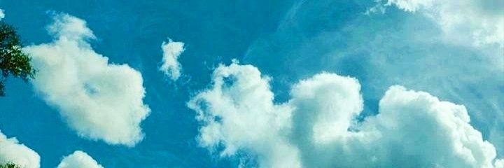 roxcord's profile banner image