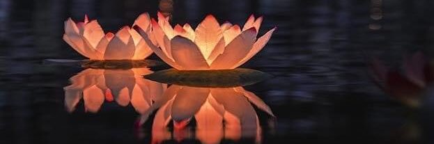 Spring22222K's profile banner image