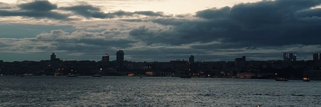 sena_sarioglu's profile banner image