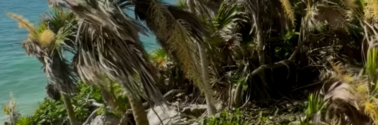 Robb_Oak's profile banner image
