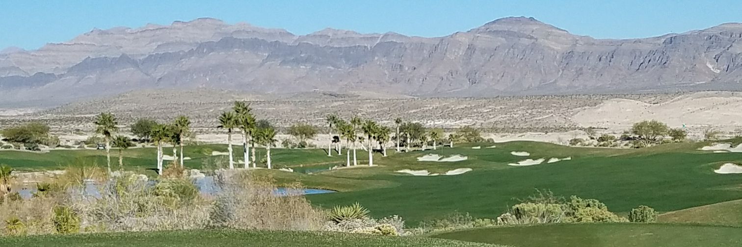 Steph Edwards banner