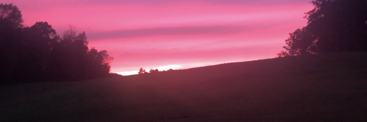 leeannrieder's profile banner image
