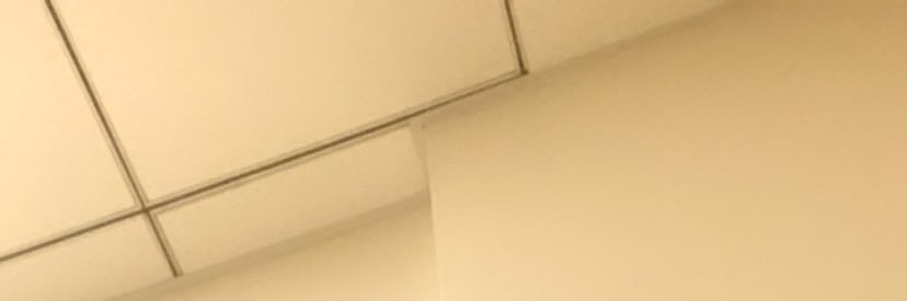 blissfulls's profile banner image