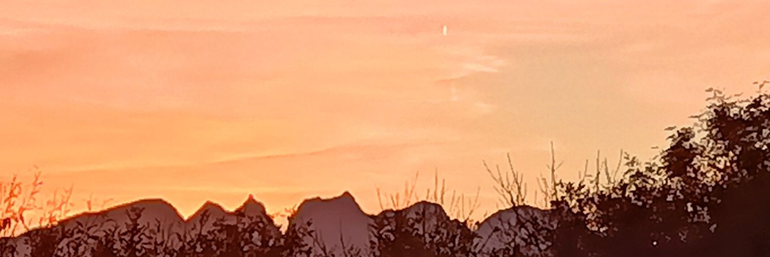 reiben's profile banner image
