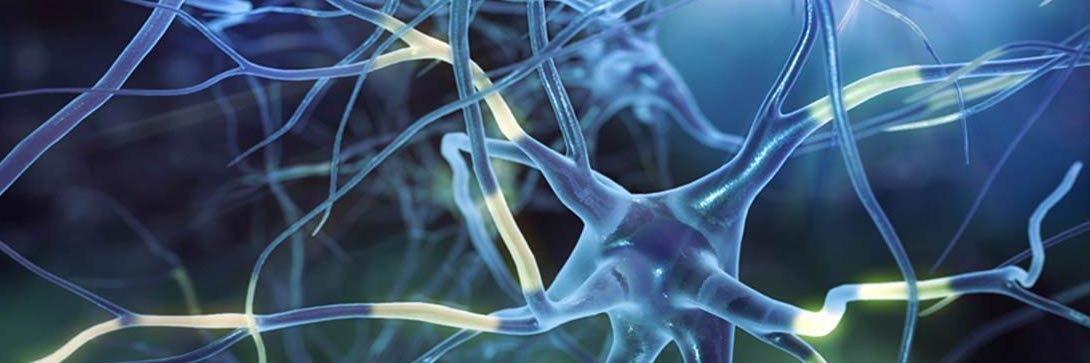 Dr. Johnson K. Jacob banner