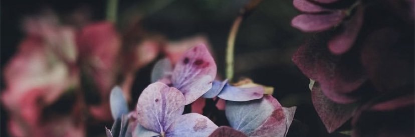 13__ij0's profile banner image