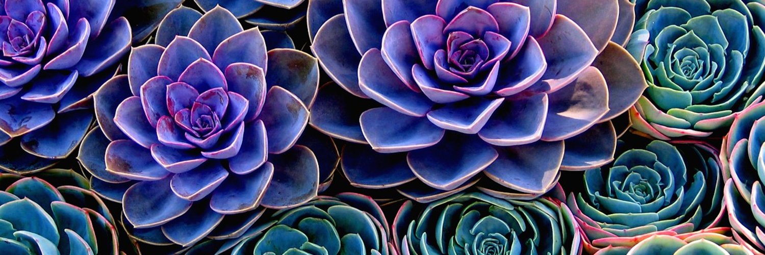 Vånə 🌍🌱 banner