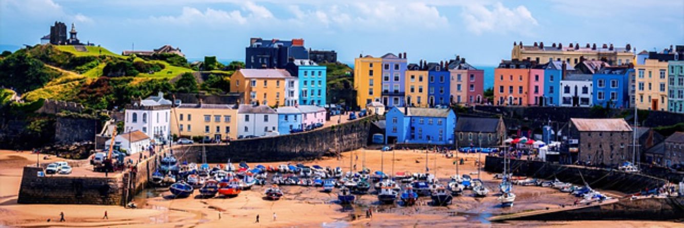 Dog Friendly Pembrokeshire banner