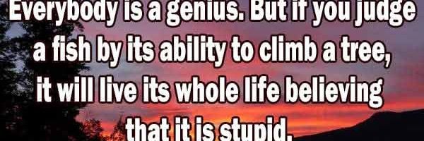 Edmalbrocks1's profile banner image
