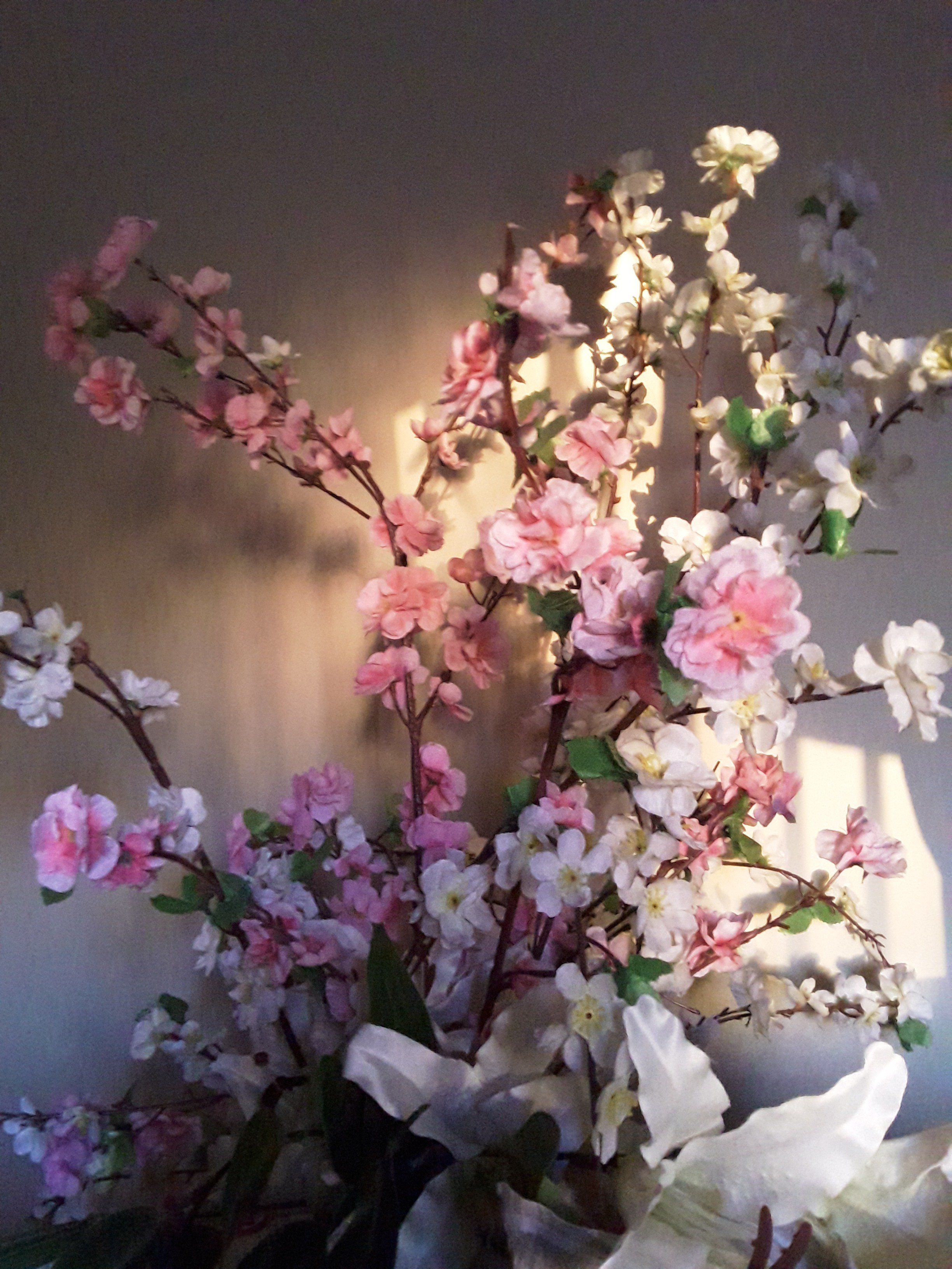 amelia_joshi's profile banner image