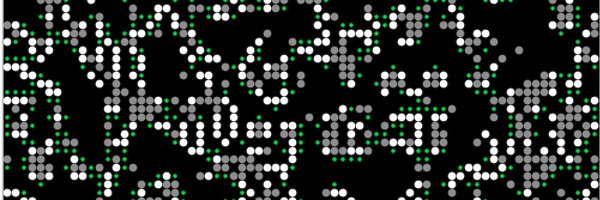 norvid_studies Profile Banner