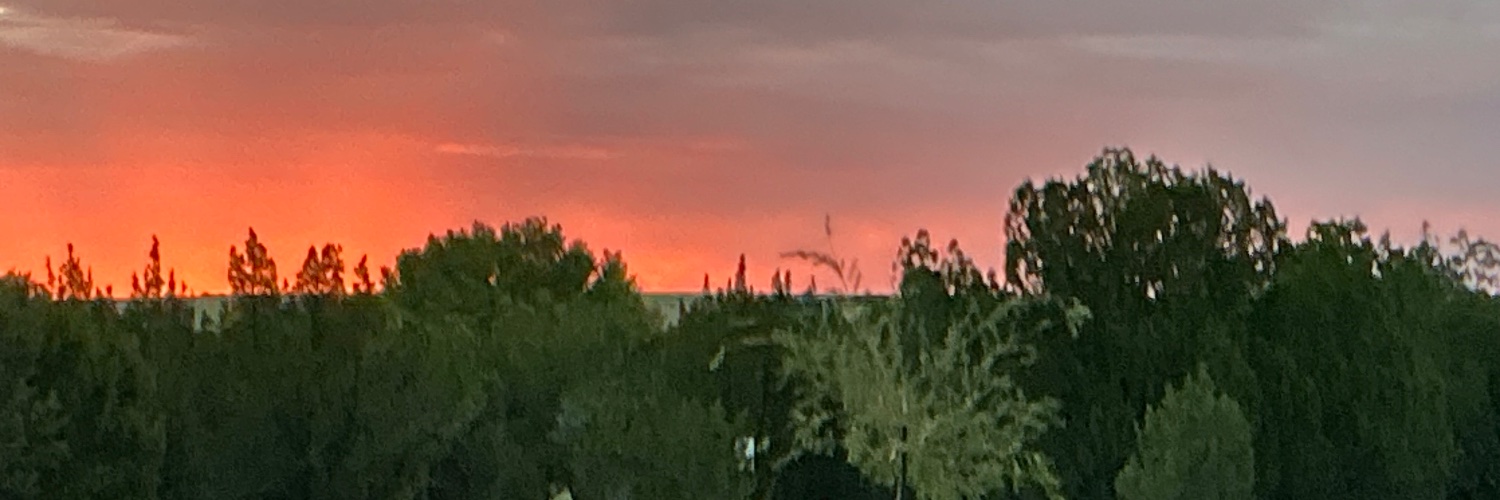 SparkyInArizona's profile banner image
