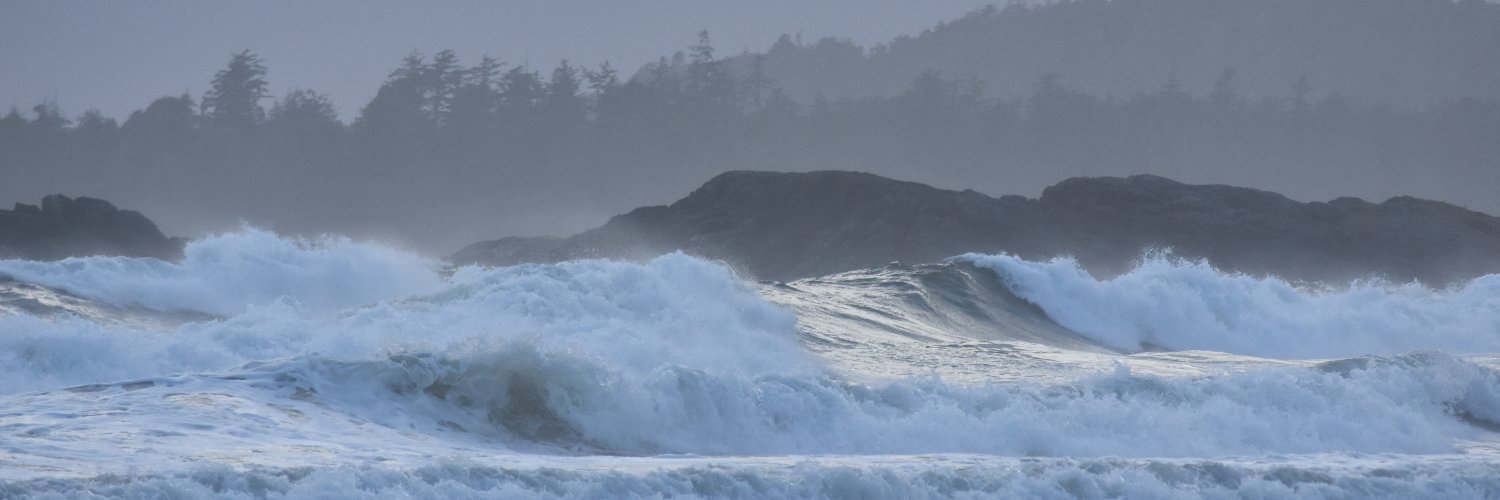 🇨🇦 Merlin 🇨🇦 banner