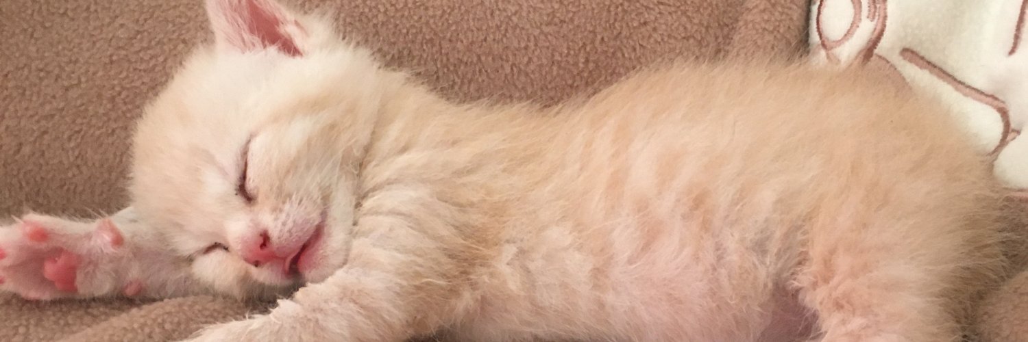 Batriaud Martine banner