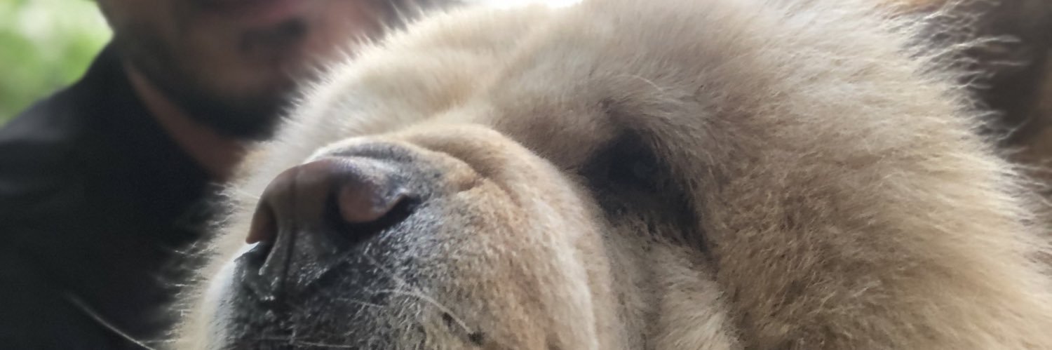wizardruls's profile banner image