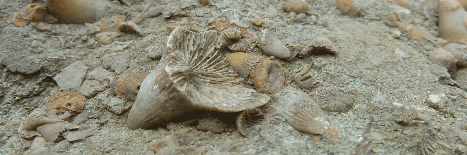 DigAtlasAncientLife banner