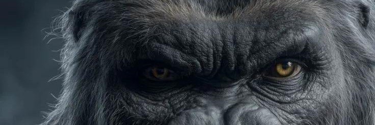 tonfreed's profile banner image