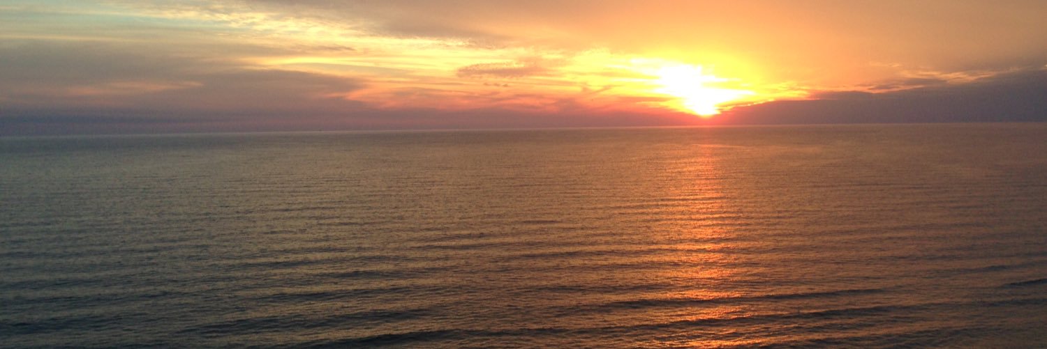 LVanmulligen's profile banner image