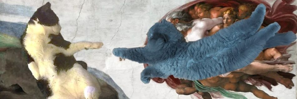 Meowzart 🌺 ₍⸍⸌̣ʷ̣̫⸍̣⸌₎っ banner