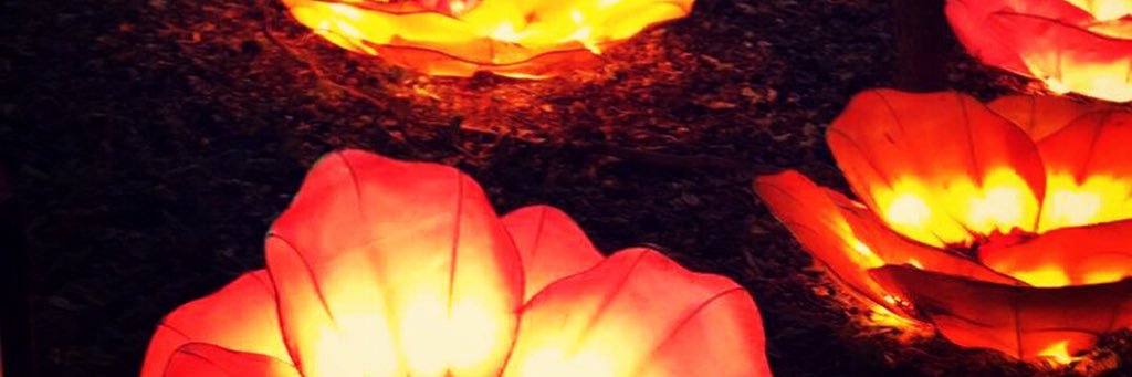 22jamiesue's profile banner image